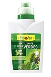 Flower 10533 - Abono líquido Plantas Verdes, 500 ml Foto, nuevo 2024, mejor precio 4,55 € revisión