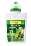 Flower 10533 - Abono líquido Plantas Verdes, 500 ml Foto, nuevo 2024, mejor precio 4,55 € revisión