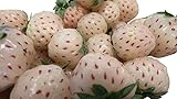 10 paquetes de fresas de piña blanca dura para el invierno. Foto, nuevo 2024, mejor precio 7,99 € revisión