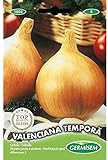 Germisem Valenciana Tempora Semillas de Cebolla 3 g Foto, nuevo 2024, mejor precio 2,70 € revisión