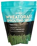 Wheatgrass Seeds | Non GMO | Grown in USA Wheat Grass Seeds | from Our Farm to Your Table (1 Pound) Photo, new 2024, best price $9.95 review