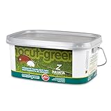 Zulueta Nocut Green Fertilizante Anti Musgo césped, Amarillo, 27.00x19.50x12.00 cm Foto, nuevo 2024, mejor precio 18,50 € revisión