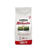 Pennington The Rebels Tall Fescue Grass Seed Blend, 7 Pounds Photo, new 2024, best price $19.83 ($0.18 / Ounce) review