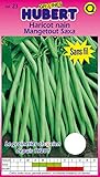 Graines de Haricot Nain Mangetout Saxa - 150 grammes Photo, nouveau 2024, meilleur prix 7,55 € examen