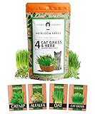 3200+ Cat Grass Seeds - Catnip Seeds, Alfalfa Seeds, Oat Seeds, and Oat & Barley Mix - Grow Cat Grass for Indoor Cats - Cat Grass Seeds Bulk - Refill Cat Growing Grass Kit - Heirloom Herb Seed Photo, new 2024, best price $13.69 review