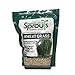 Photo Nature Jims Sprouts Wheatgrass Seeds - 100% Organic Wheat Grass Seed for Sprouting - Cat Grass Planter Seeds, Rich in Vitamins, Fiber and Minerals - Non-GMO, Healthy Wheatgrass Sprout Growing Seed review