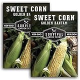 Survival Garden Seeds - Golden Bantam Sweet Corn Seed for Planting - Packet with Instructions to Plant and Grow Yellow Corn on The Cob Your Home Vegetable Garden - Non-GMO Heirloom Variety - 2 Pack Photo, new 2024, best price $7.99 ($4.00 / Count) review