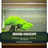IWAGUMI AQUASCAPE: IWAGUMI AQUASCAPE – HOW TО AND GUIDE Photo, new 2024, best price $2.99 review
