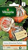 VILMORIN Potiron Giraumon Turban Foto, nuevo 2024, mejor precio 9,75 € revisión