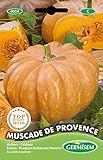 Germisem Muscade de Provence Semillas de Calabaza 3 g Foto, nuevo 2025, mejor precio 2,21 € revisión