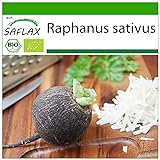 SAFLAX - Ecológico - Rábano - Español Negro - 100 semillas - Con sustrato estéril para cultivo - Raphanus sativus Foto, nuevo 2024, mejor precio 4,45 € revisión