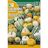 Semillas de Calabaza mezcla de pequeños frutos Foto, nuevo 2024, mejor precio 1,62 € revisión