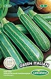 Germisem Green Italian Semillas de Calabacín 3 g, EC4014 Foto, nuevo 2024, mejor precio 2,21 € revisión