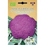 Germisem Orgánica Sicilia Violetto Semillas de Coliflor 1 g (ECBIO3000) Foto, nuevo 2024, mejor precio 3,99 € revisión