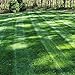 Photo Outsidepride Midnight Kentucky Bluegrass Lawn Grass Seed - 5 LBS review