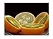 Foto 10 Samen Solanum quitoense - Naranjilla, Lulo, kaum erhältliche Früchte, lecker Rezension