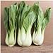 foto Pacchetto di 300 semi, Pak Choi bianco Stem Semenza di cavolo (Brassica rapa) recensione