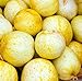 foto Farmerly 30 Organic Lemon cetriolo Semi Heirloom Non-GMO croccante dolce fragrante gialle recensione