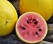 Foto Bobby-Seeds Melonensamen Golden Midget Wassermelone Portion Rezension