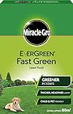 EverGreen estremo prato verde scatola di fertilizzante 80 m² foto, nuovo 2024, miglior prezzo EUR 20,10 recensione