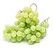 foto Pinkdose Bonsai di vite d'uva in miniatura - Patio Syrah - Vitis Vinifera - Pianta d'appartamento - 10 pezzi - Bonsai di frutta: 1 recensione