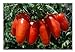 Foto Premier Seeds DirectORG113 „San Marzano 2“ organische TomatenSamen (Packung mit 60) Rezension