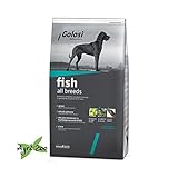 GOLOSI DOG - al pesce per cani di tutte le taglie 12 Kilogramm foto, nuovo 2024, miglior prezzo EUR 22,05 recensione