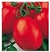 Foto 700 aprox - Tomatensamen Roma V - F - Lycopersicum Esculenthum In Originalverpackung Hergestellt in Italien - Tomaten Rezension