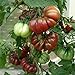 Foto 10 Samen Cherokee Purple Tomate – alte Indianersorte, sehr gut im Geschmack Rezension