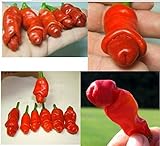 Piante da giardino Peter Pepper Seeds peperoncino 50 semi / pacchetto rosso caldo foto, nuovo 2024, miglior prezzo EUR 3,29 recensione