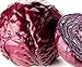 foto Portal Cool Semi Cavolo cappuccio rosso, Acre Rosso, Heirloom Semenza di cavolo, non-OGM Cavolo Seed, 100CT recensione
