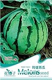 B001 8 Semi Anguria - Citrullus lanatus In Confezione Originale - Angurie foto, nuovo 2024, miglior prezzo EUR 7,40 recensione