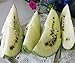 Foto Bobby-Seeds Melonensamen Cream of Saskatchewan Wassermelone Portion Rezension