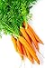 foto Semi di carota precoce - Daucus carota recensione