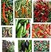 foto Collezione di semi di peperoncino - 10 confezioni, 10 varietà, 100 semi. recensione