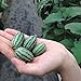 foto Rosepoem 10pcs mini semi di anguria pollice semi Meravigliosamente delizioso Semi di Cucamelon 10 PEZZI recensione