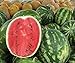 Foto Bobby-Seeds Melonensamen Crimson Sweet - Wassermelone 50 Korn Rezension