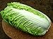 foto PLAT firm-semi di ortaggi Semi Cavolo cinese Giant China Heirloom NON-OGM recensione