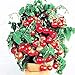 foto PLAT FIRM Germinazione dei semi PLATFIRM-50pcs cetriolo Semi all'ingrosso giapponese semi di cetriolo verdure e semi di frutta Per la casa vaso da giardino facile da coltivare cibo sano Cetr recensione