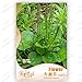 foto Garden Chinese semi di cavolo verdure, 10g / sacchetto del bambino cibo home & garden Semi di piante recensione