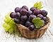 foto Pinkdose Trasporto libero, anziani Piante Cortile, semi delizioso frutto, Gold Finger 100pcs semi d'uva: 8 recensione