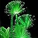 foto WuWxiuzhzhuo 100pcs rare smeraldo fluorescente semi di fiori, luce notturna che emettono piante da giardino 1 recensione