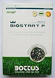 Concime Fertilizzante per Prato Bottos Bio Start 12-20-15- 25 Kg foto, nuovo 2024, miglior prezzo EUR 69,60 recensione