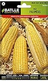 Battle - Semi Aromatici Mais per Pop Corn (Semi - 180Cm) foto, nuovo 2024, miglior prezzo EUR 5,32 recensione