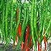 Foto Gemüsesamen echte Frische Rare Red Pepper Samen (Hot Chili) Bio-Gemüse Chili-Pfeffer 100 Samen e25 Rezension