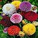 Foto Reefa 200 Stücke Mischfarbe Zinnia Blumen Samen Bonsai Garten Dekoration Rezension