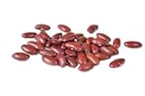 Bush Bean Red Kidney Bean Seeds Photo, new 2024, best price $9.99 ($19.98 / Ounce) review