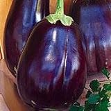 Eggplant Black Beauty Great Heirloom Vegetable 1,300 Seeds Photo, new 2024, best price $3.95 review