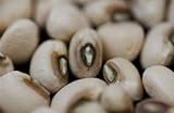 Pea Blackeye Great Heirloom Vegetable by Seed Kingdom Bulk 1 Lb Seeds Photo, new 2024, best price $16.95 ($1.06 / Ounce) review