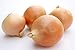 Photo Riverside Sweet Spanish Onion Seeds, 300 Heirloom Seeds Per Packet, Non GMO Seeds review